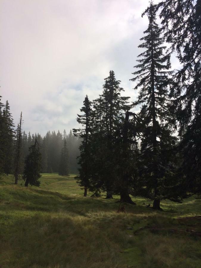 Chalets Almidylle 상트마틴암테넨게비르게 외부 사진